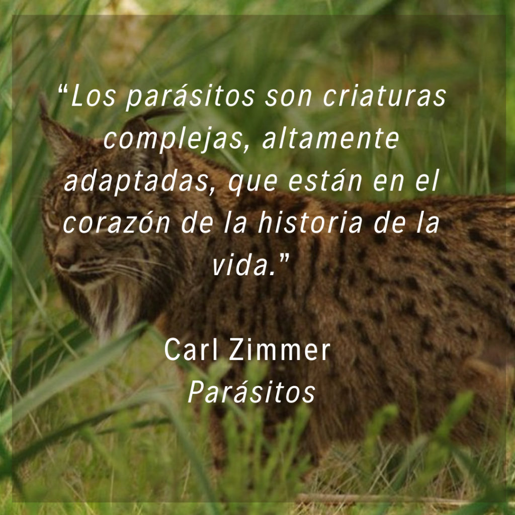 “Los parásitos son criaturas complejas, altamente adaptadas, que están en el corazón de la historia de la vida.” Carl Zimmer. Parásitos