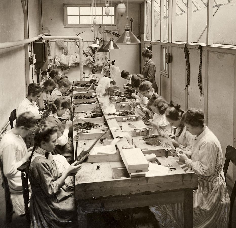Taller en Amsterdam (Holanda), en 1919 donde se procesaban y teñían plumas de avestruz para la industria de la moda.