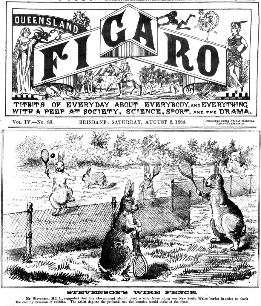 The Queensland Figaro